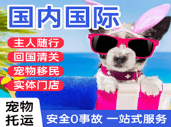 抚远东极机场货运国际宠物托运 【国
